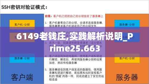 6149老钱庄,实践解析说明_Prime25.663