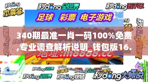 340期最准一肖一码100%免费,专业调查解析说明_钱包版16.251-8