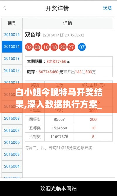 白小姐今晚特马开奖结果,深入数据执行方案_SHD83.555