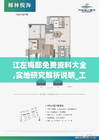 江左梅郎免费资料大全,实地研究解析说明_工具版90.361