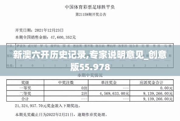新澳六开历史记录,专家说明意见_创意版55.978