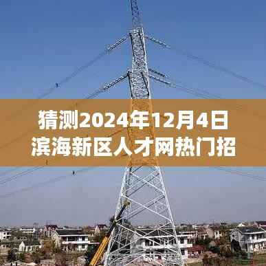 滨海新区人才网热门招聘预测,梦想与友情的交汇点(2024年12月4日)