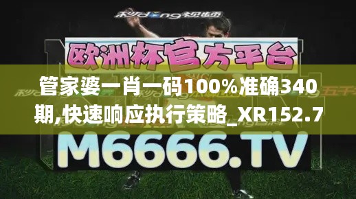 管家婆一肖一码100%准确340期,快速响应执行策略_XR152.762-8