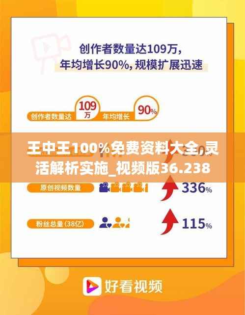 王中王100%免费资料大全,灵活解析实施_视频版36.238