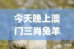 今天晚上澳门三肖兔羊蛇,仿真实现技术_Harmony6.884