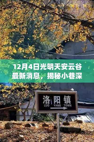 光明天安云谷探秘,揭秘小巷宝藏与特色小店最新消息(12月4日)