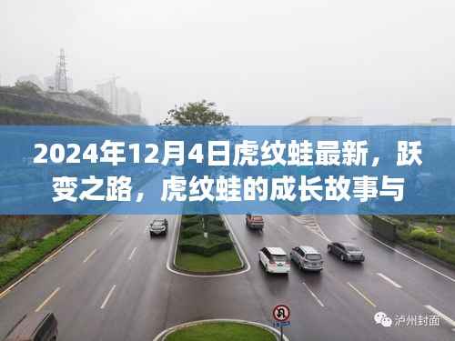 虎纹蛙的成长故事与未来展望,跃变之路的无限可能(最新篇章)