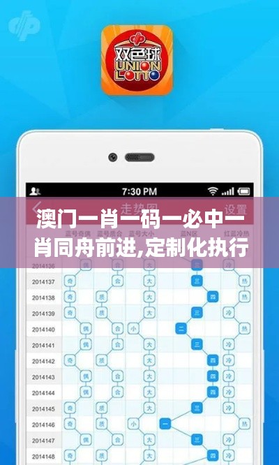 澳门一肖一码一必中一肖同舟前进,定制化执行方案分析_Nexus1.943
