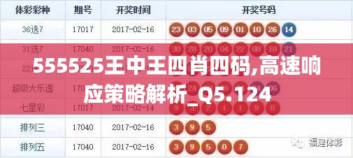 555525王中王四肖四码,高速响应策略解析_Q5.124
