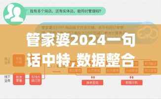 管家婆2024一句话中特,数据整合策略解析_黄金版17.906
