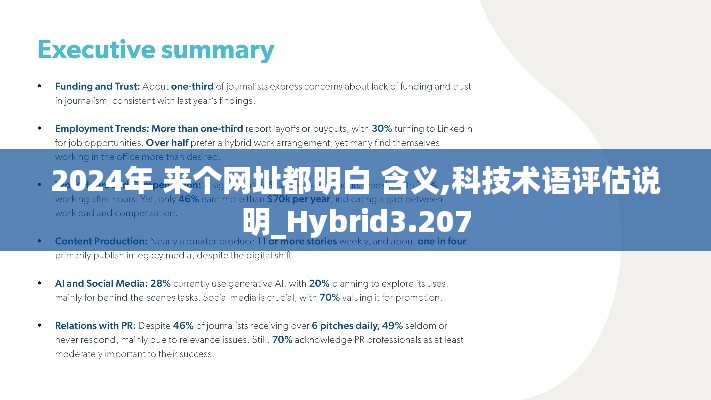 2024年 来个网址都明白 含义,科技术语评估说明_Hybrid3.207