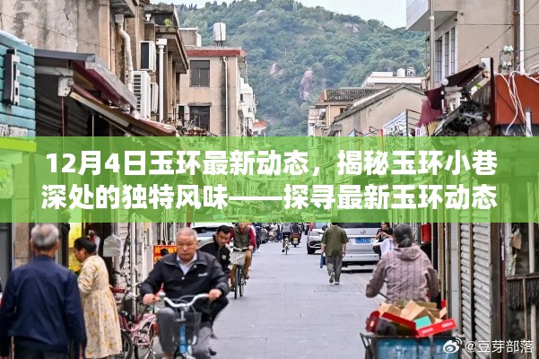 玉环最新动态揭秘,小巷深处的独特风味——探寻隐藏瑰宝的旅程