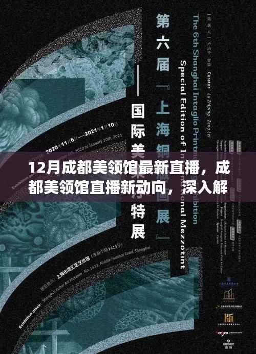 成都美领馆最新直播动向,深入解读与观点碰撞