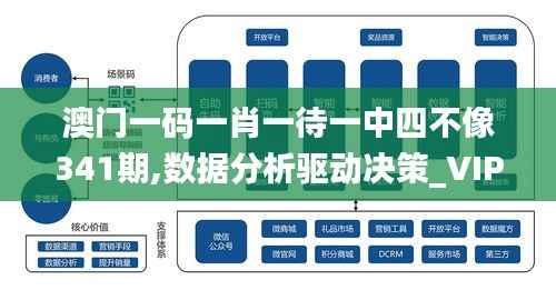 澳门一码一肖一待一中四不像341期,数据分析驱动决策_VIP2.282