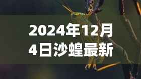 沙蝗家族奇遇记,沙漠冒险之旅的最新篇章(2024年12月4日)
