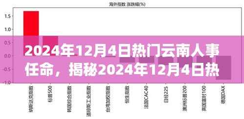 揭秘,2024年12月4日云南人事任命背后的故事与热议话题