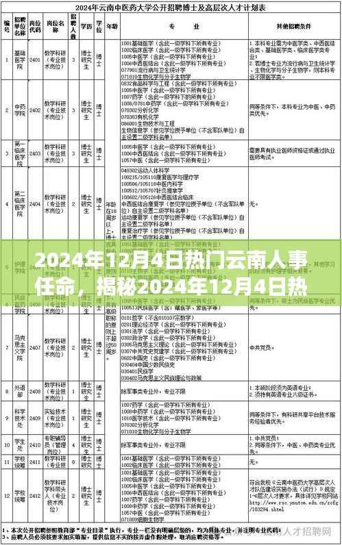 揭秘,2024年12月4日云南人事任命背后的故事与热议话题