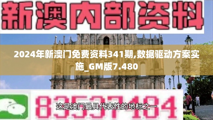 2024年新澳门免费资料341期,数据驱动方案实施_GM版7.480