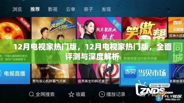 全面评测与深度解析,12月电视家热门版