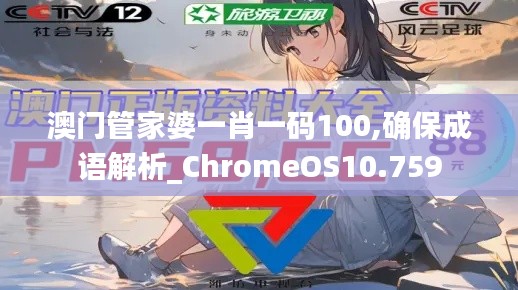 澳门管家婆一肖一码100,确保成语解析_ChromeOS10.759