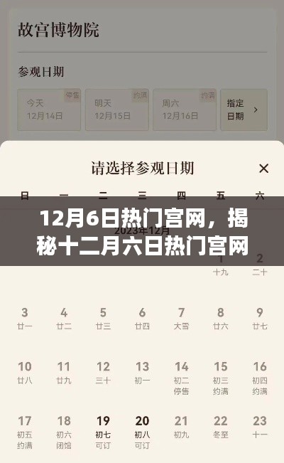 揭秘十二月六日热门宫网,三大要点深度解读与独家解析