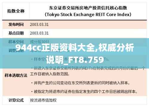 944cc正版资料大全,权威分析说明_FT8.759