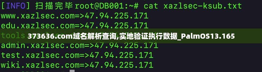 373636.com域名解析查询,实地验证执行数据_PalmOS13.165