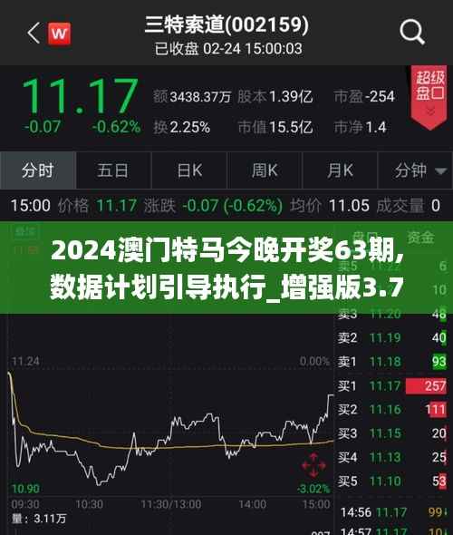 2024澳门特马今晚开奖63期,数据计划引导执行_增强版3.722