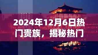 揭秘热门贵族,2024年必探小巷深处的独特风味小店