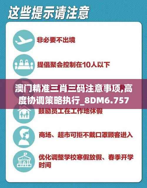 澳门精准三肖三码注意事项,高度协调策略执行_8DM6.757