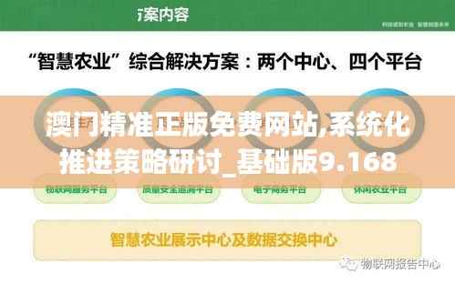 澳门精准正版免费网站,系统化推进策略研讨_基础版9.168