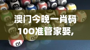 澳门今晚一肖码10O准管家娶,数据资料解释落实_手游版15.501