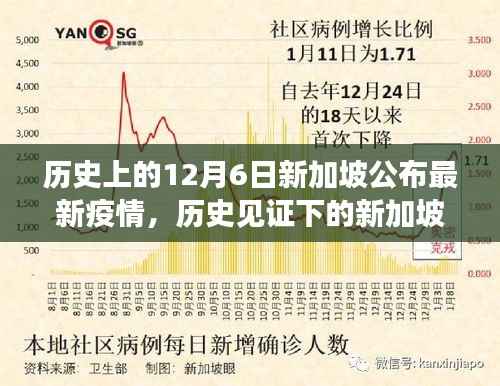 新加坡疫情新篇章,历史见证下的最新动态与小巷风情探索之旅