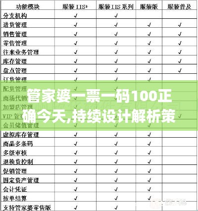 管家婆一票一码100正确今天,持续设计解析策略_XP19.976