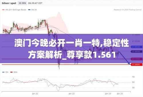 澳门今晚必开一肖一特,稳定性方案解析_尊享款1.561