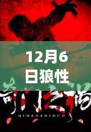 狼性村长热血篇章,12月6日独领风骚
