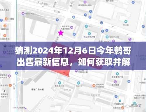 解读鹩哥最新出售信息,预测分析未来市场趋势,把握鹩哥市场动态——2024年预测报告