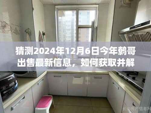 解读鹩哥最新出售信息,预测分析未来市场趋势,把握鹩哥市场动态——2024年预测报告