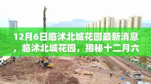 临沭北城花园最新动态揭秘,十二月六日最新消息速递