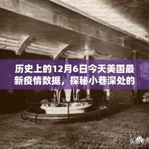今日美国疫情回顾与小巷深处的独特风味探索,疫情数据分析与隐藏瑰宝的探秘之旅