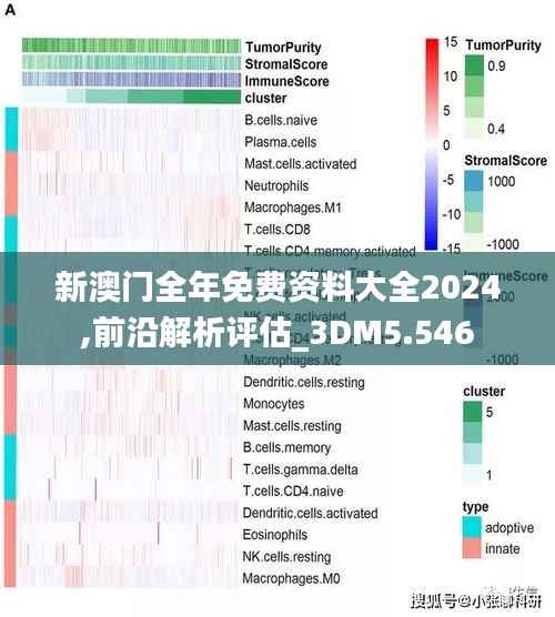 新澳门全年免费资料大全2024,前沿解析评估_3DM5.546