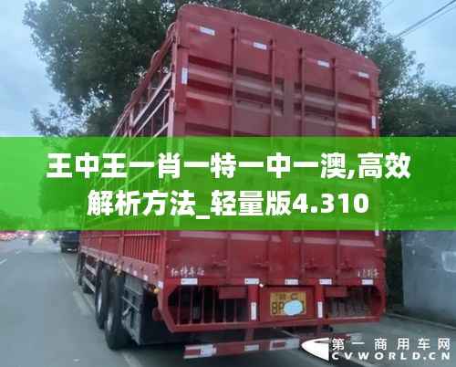 王中王一肖一特一中一澳,高效解析方法_轻量版4.310