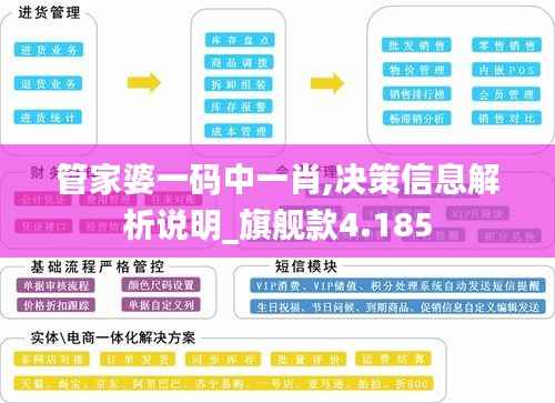 管家婆一码中一肖,决策信息解析说明_旗舰款4.185