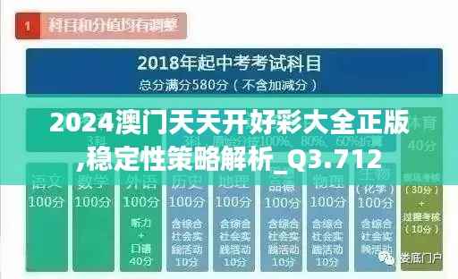 2024澳门天天开好彩大全正版,稳定性策略解析_Q3.712