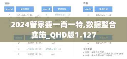 2024管家婆一肖一特,数据整合实施_QHD版1.127