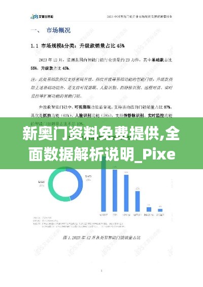 新奥门资料免费提供,全面数据解析说明_Pixel10.584