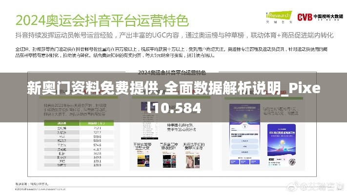新奥门资料免费提供,全面数据解析说明_Pixel10.584