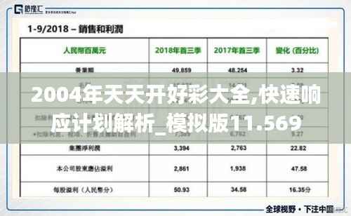 2004年天天开好彩大全,快速响应计划解析_模拟版11.569