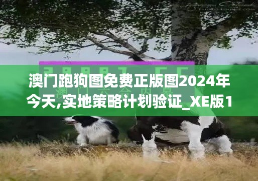澳门跑狗图免费正版图2024年今天,实地策略计划验证_XE版10.106