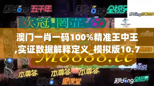 澳门一肖一码100%精准王中王,实证数据解释定义_模拟版10.793